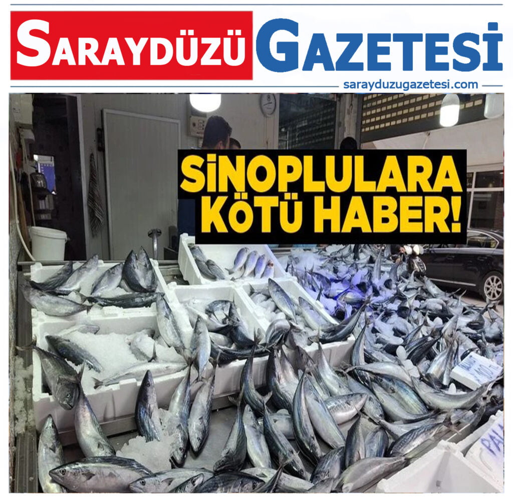 Palamut Severlere Kötü Haber!