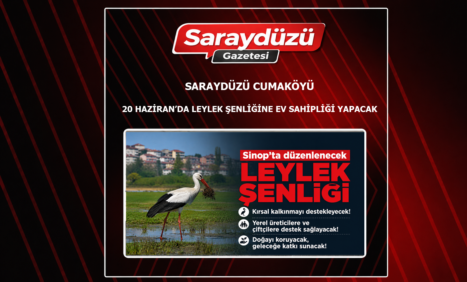 Saraydüzü, Leylek Şenliği’ne hazırlanıyor!